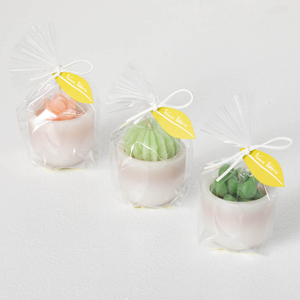 Scented Succulent Votives     