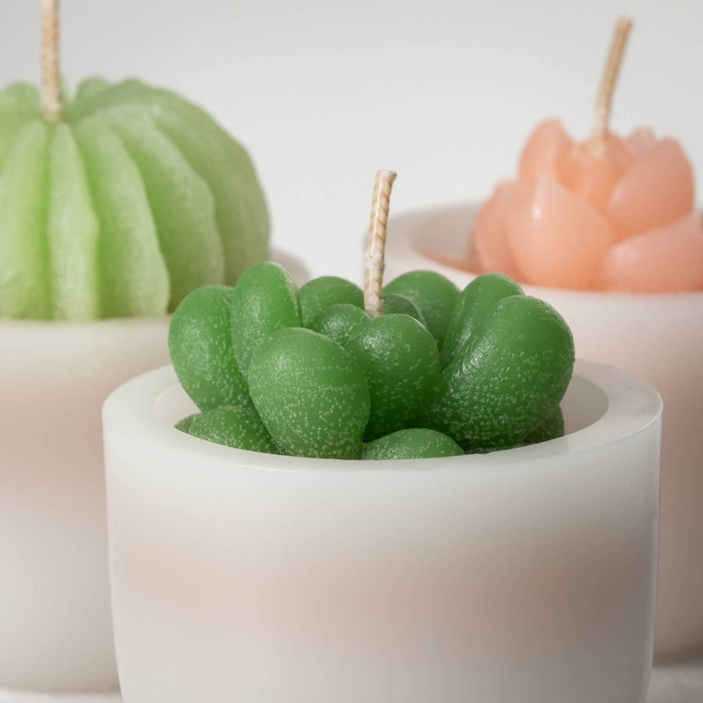 Scented Succulent Votives     