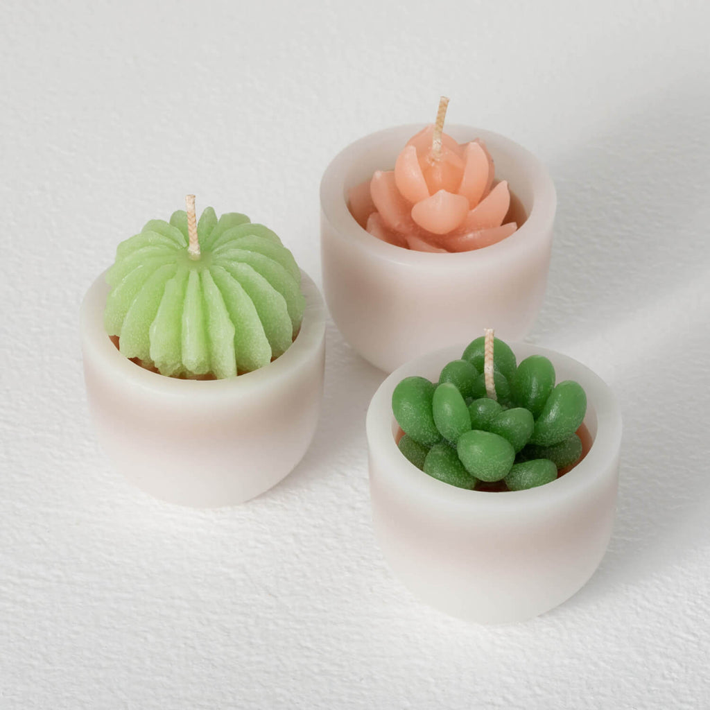 Scented Succulent Votives     