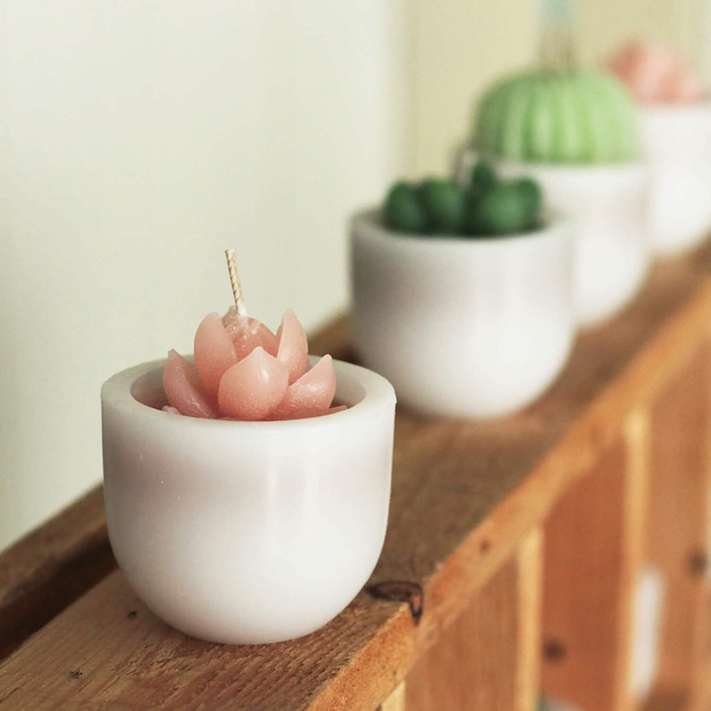 Scented Succulent Votives     