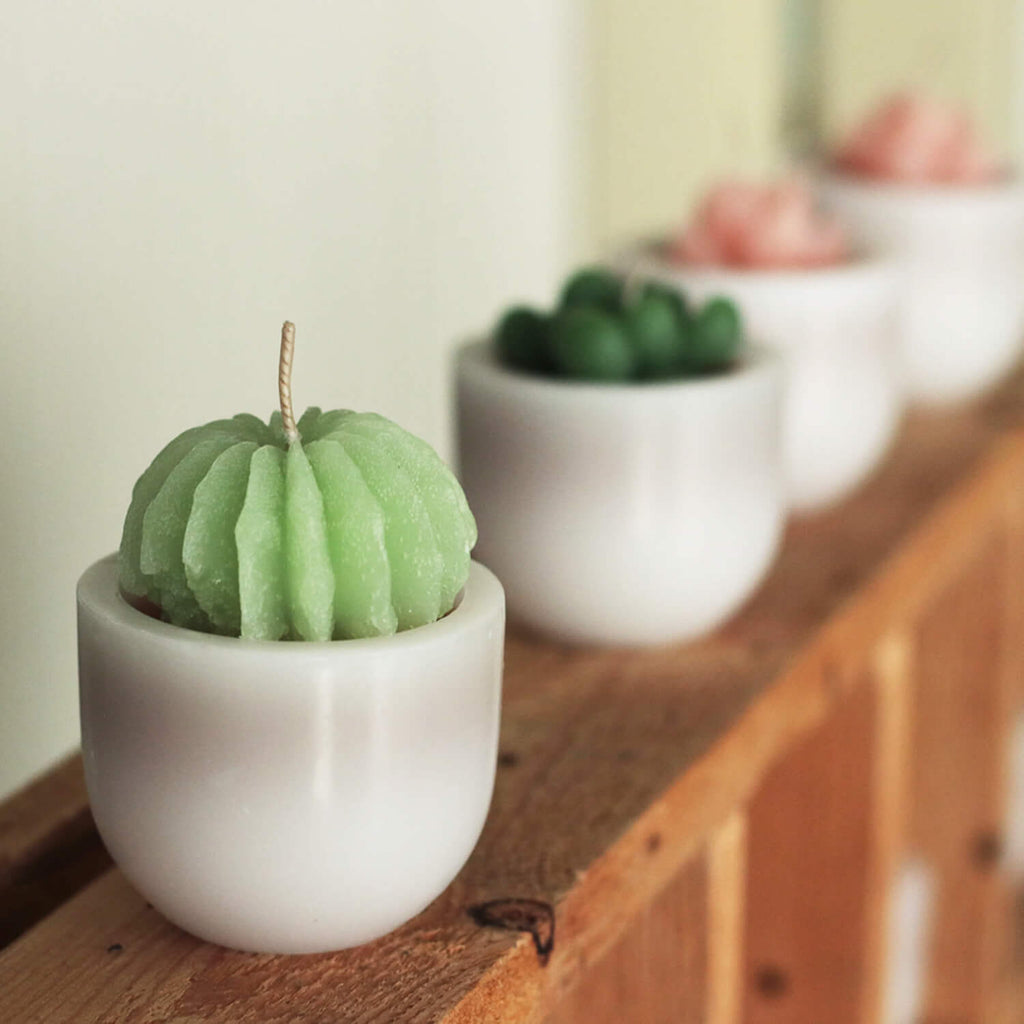 Scented Succulent Votives     