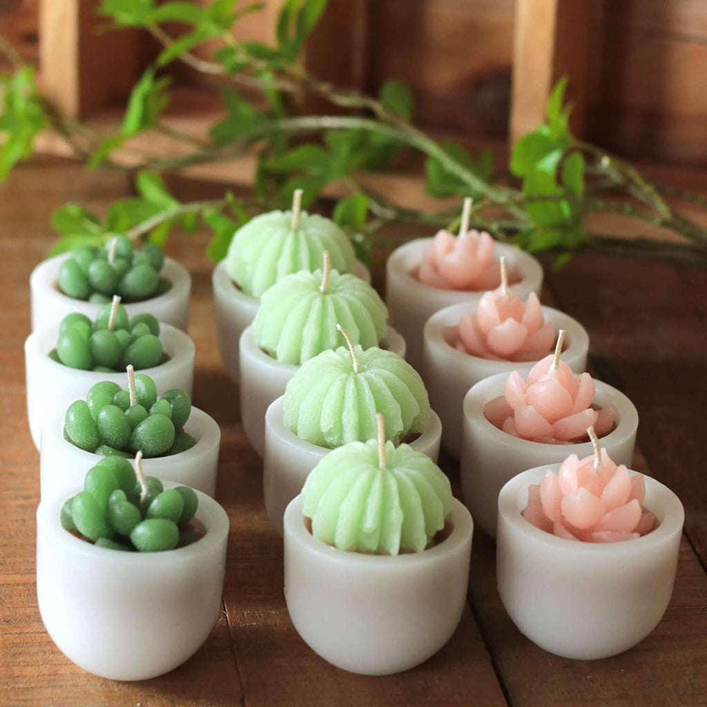 Scented Succulent Votives     