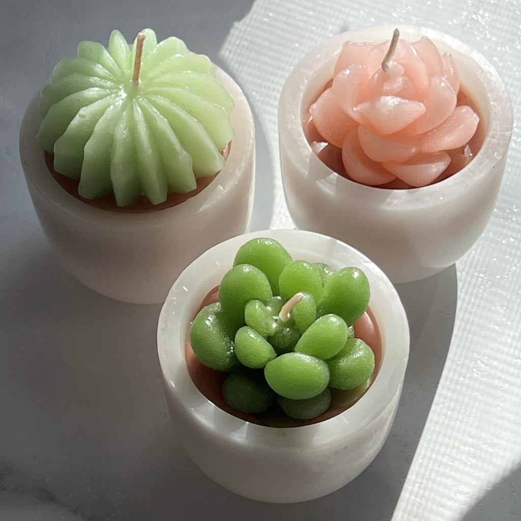 Scented Succulent Votives     