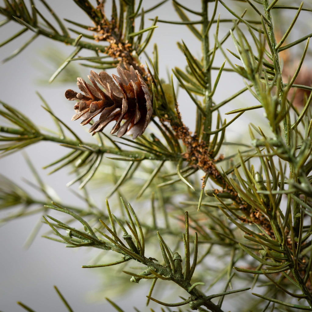 Cedar Pinecone Accent Ring    