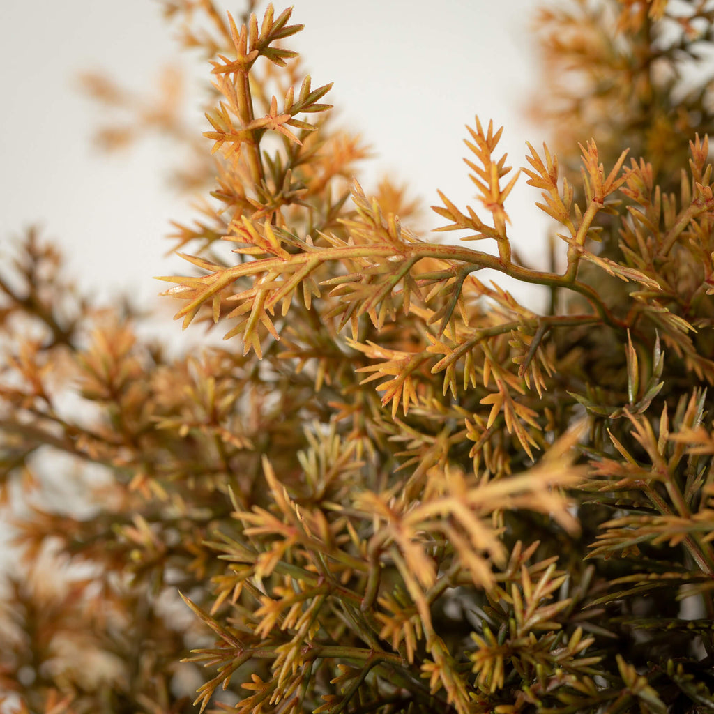 Golden Cypress Orb            