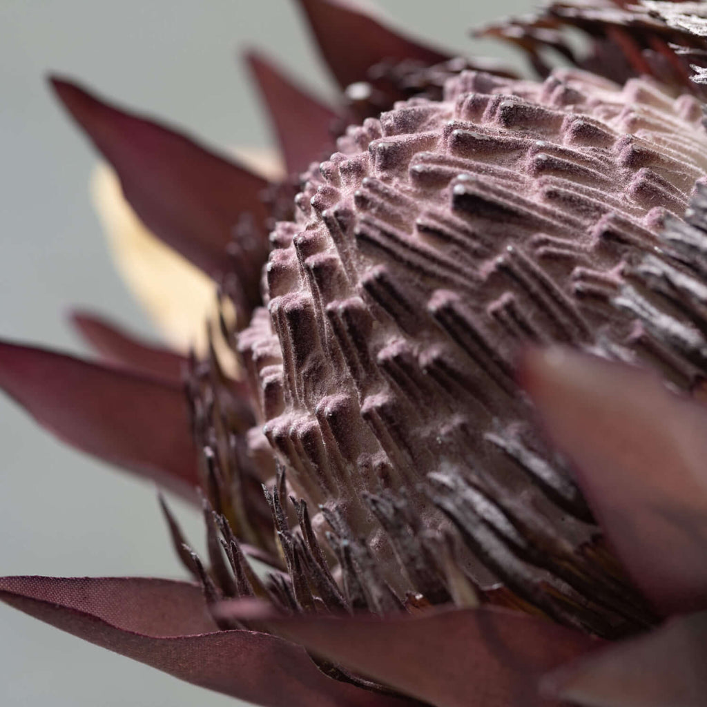 Warm Brown Faux Dried Protea  