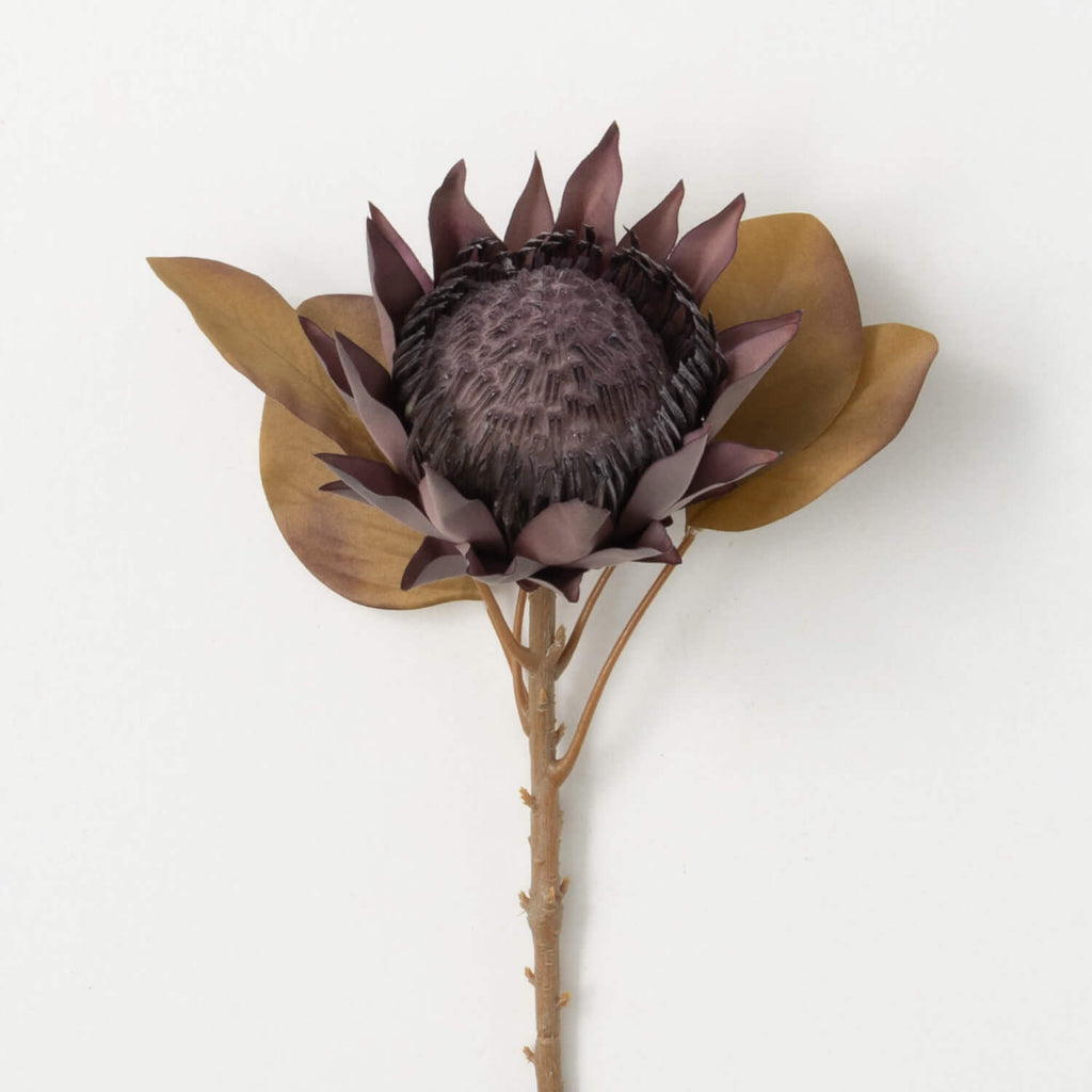 Warm Brown Faux Dried Protea  