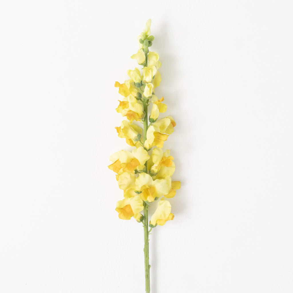 Sunny-Yellow Snapdragon Spray 