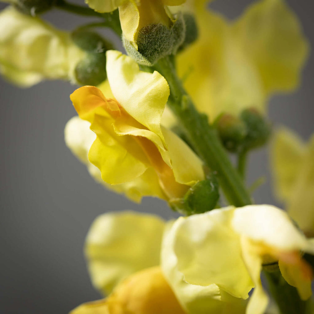 Sunny-Yellow Snapdragon Spray 