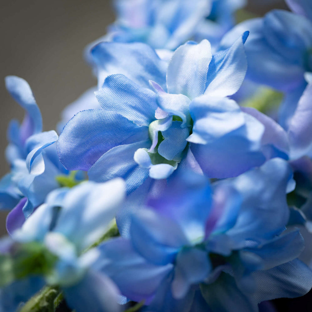 Sky-Blue Delphinium Stem      