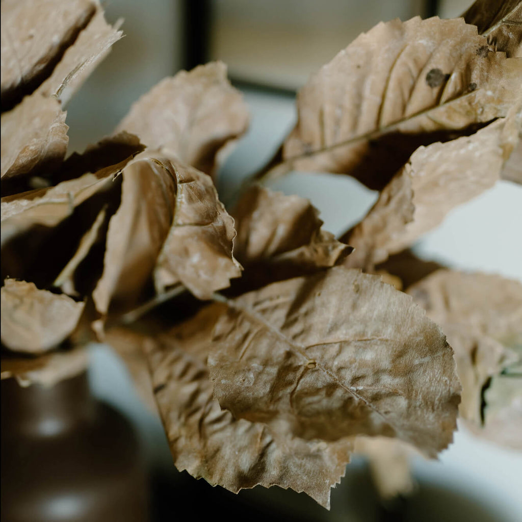 Faux Dried Hydrangea Leaf Set 