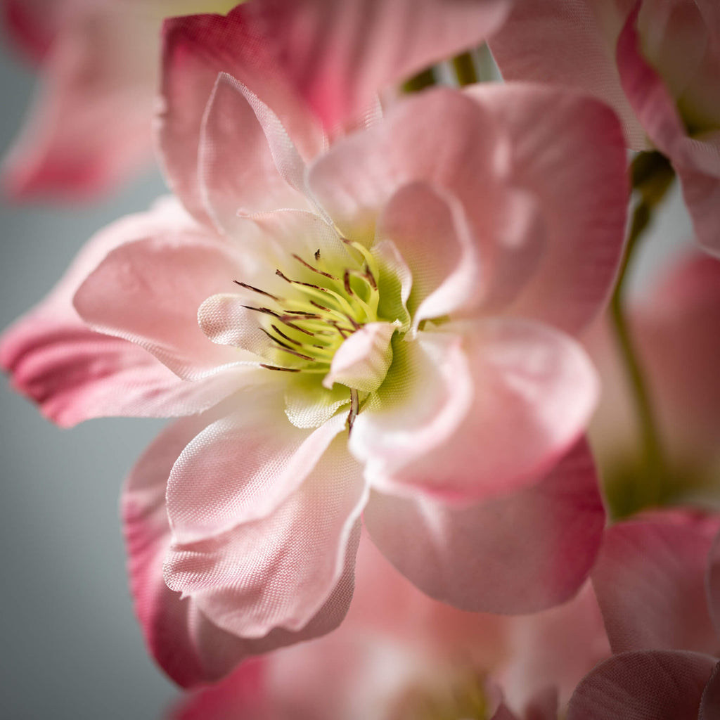 Coral Pink Delphinium Spray   