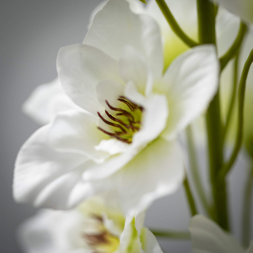 Crisp White Delphinium Spray  