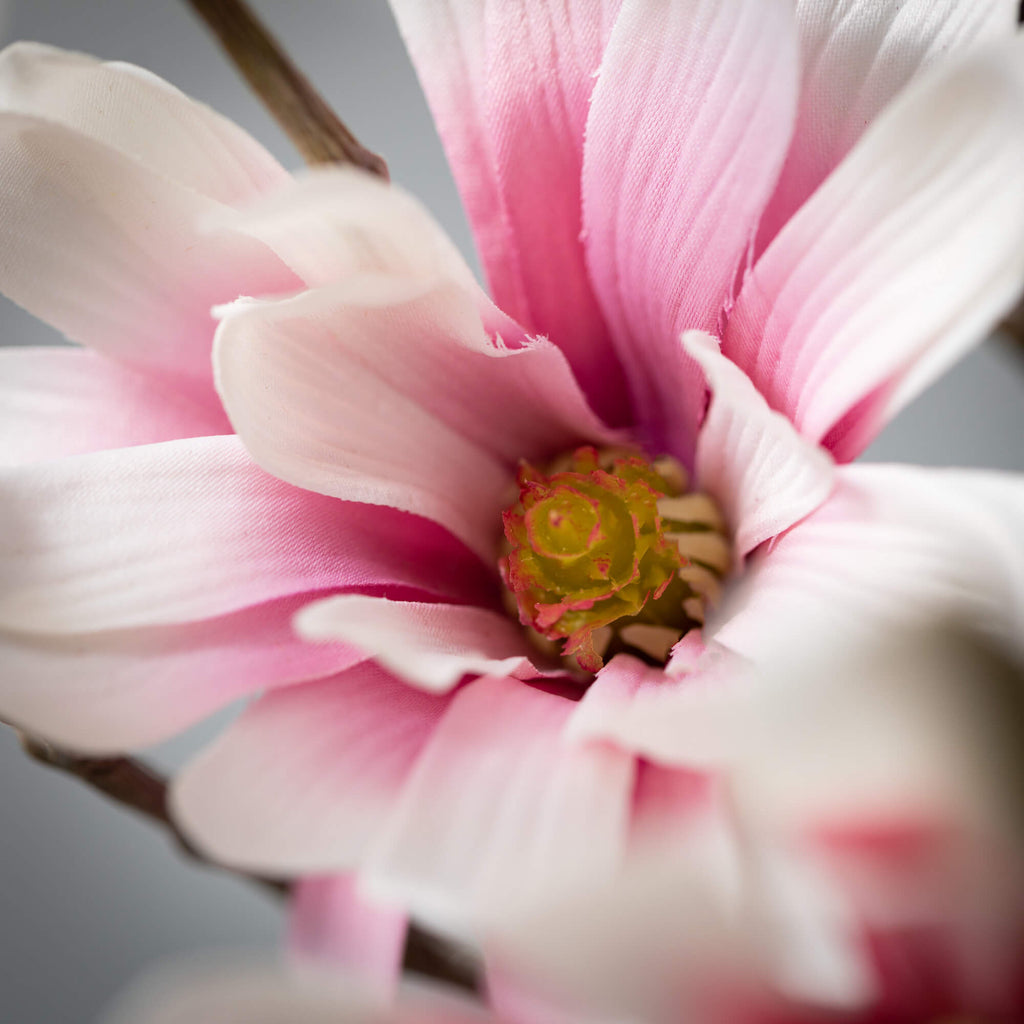 Peaceful Pink Magnolia Spray  