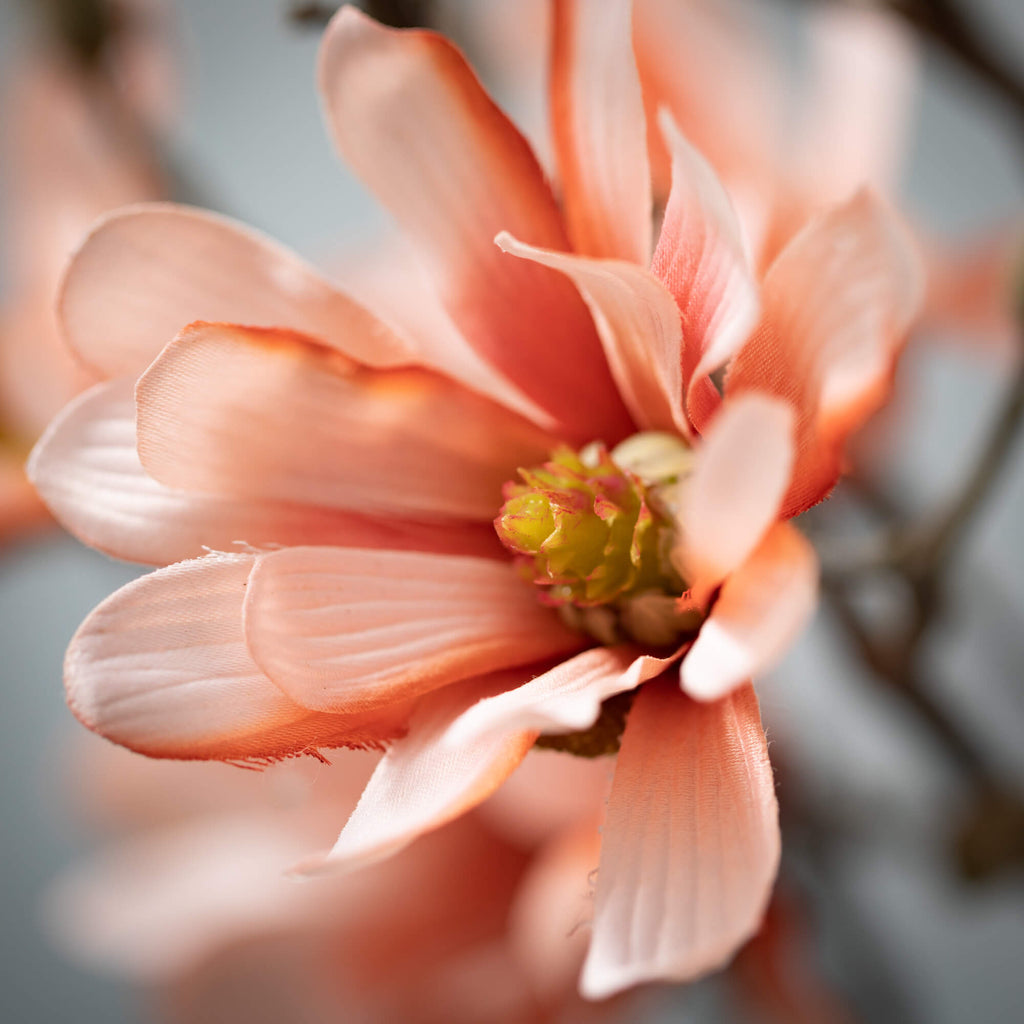 Salmon Coral Magnolia Spray   