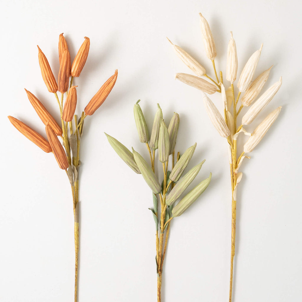 Fall Dried Okra Stem Trio     