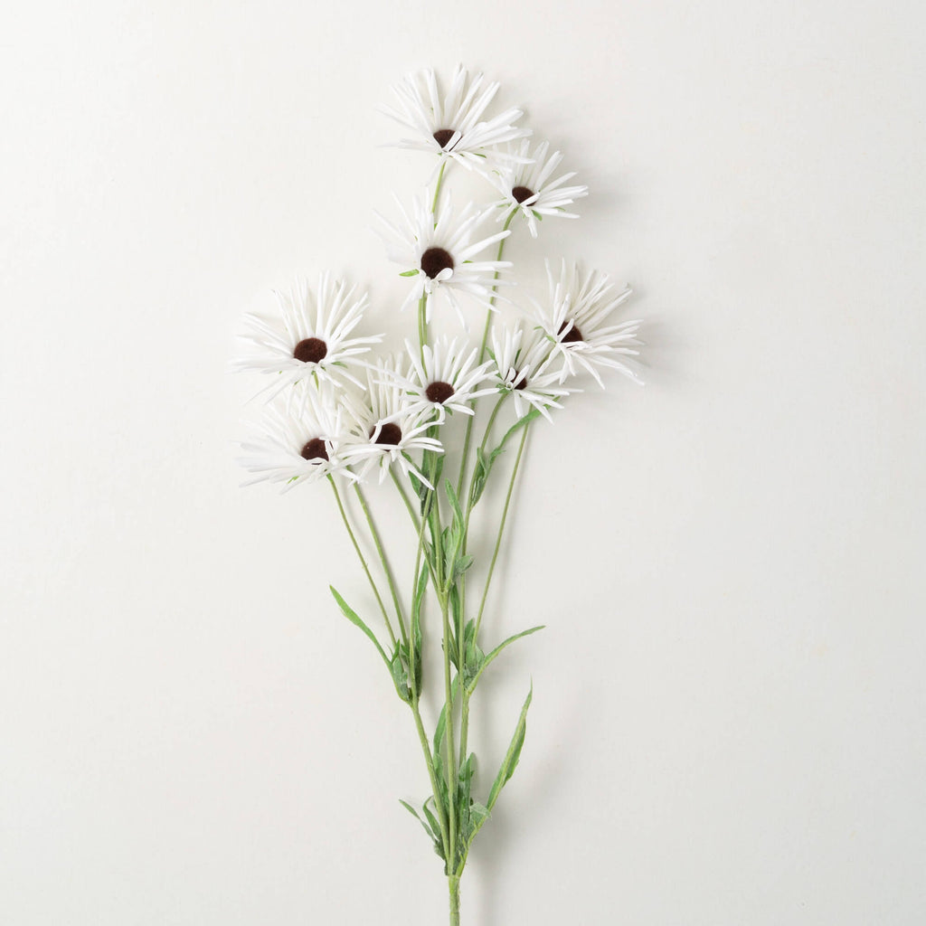 White Daisy Stem              