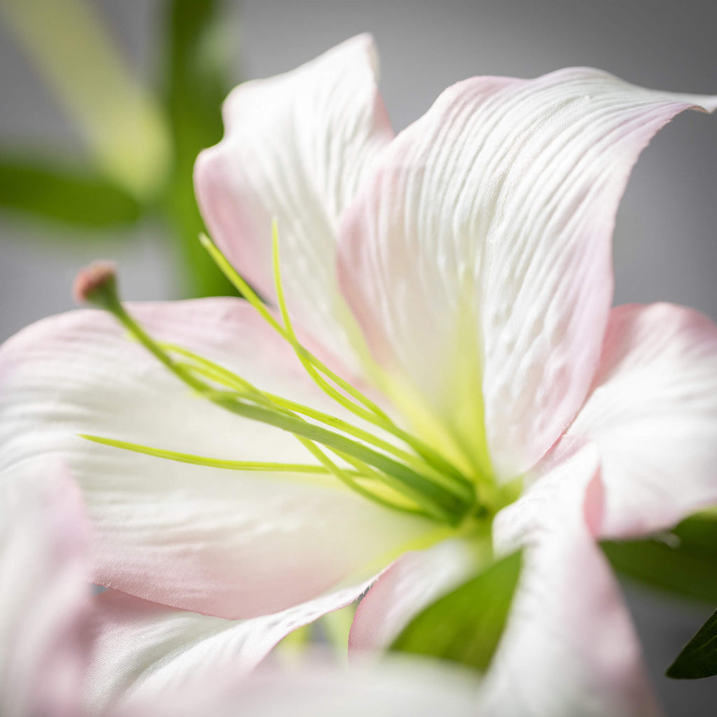 Long Blush Pink Lily Spray    