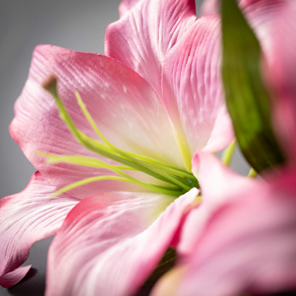 Long Deep Pink Lily Spray     