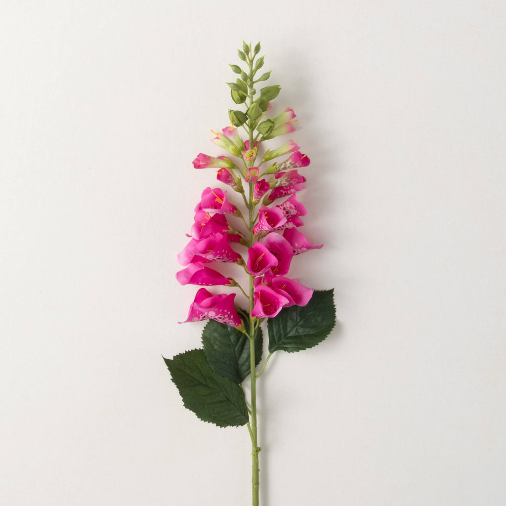 Deep Pink Fox Glove Spray     