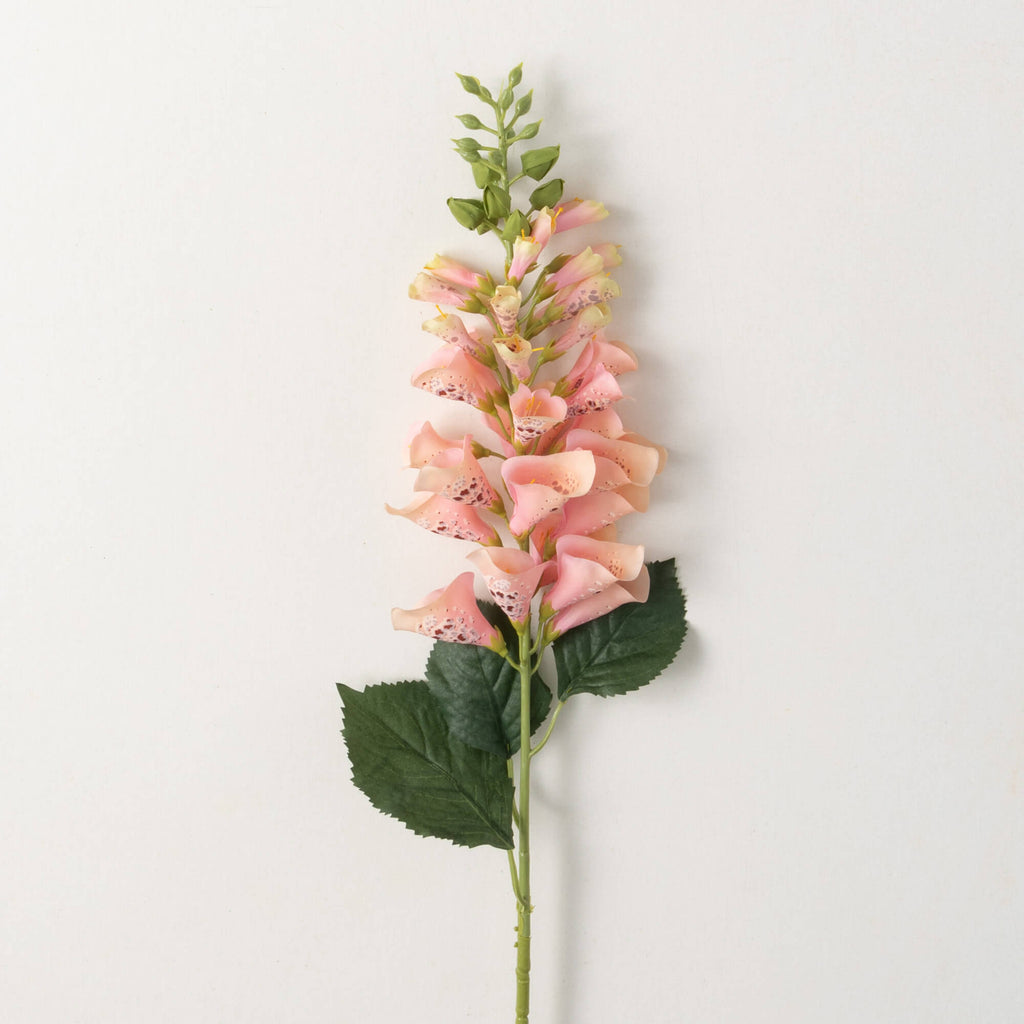 Peach Fox Glove Spray         