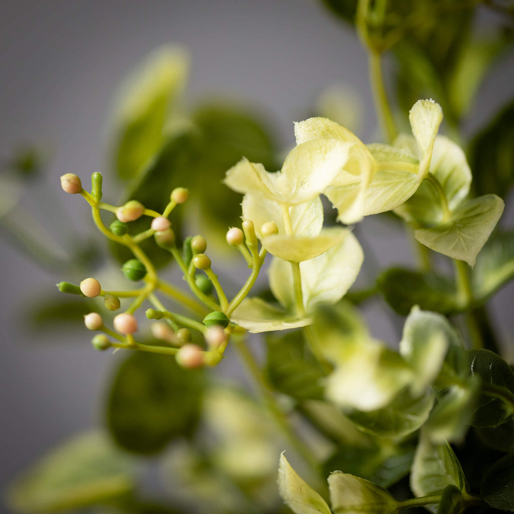 Eucalyptus & Mint Leaf Spray  