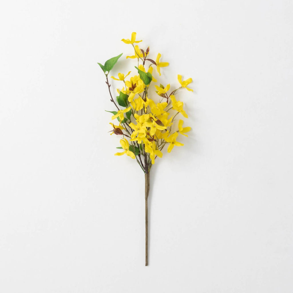 Forsythia & Twig Pick         