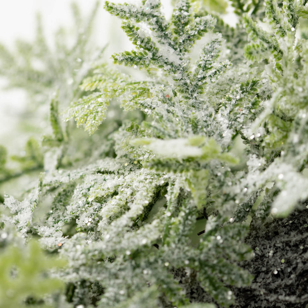 Full Frosted Fern Wreath      