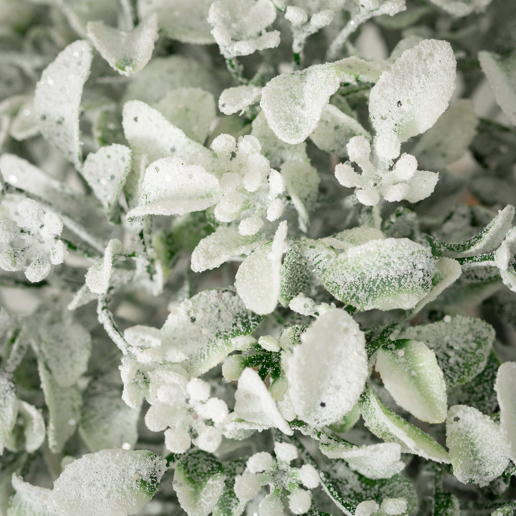 Frosted Green Boxwood Orb     