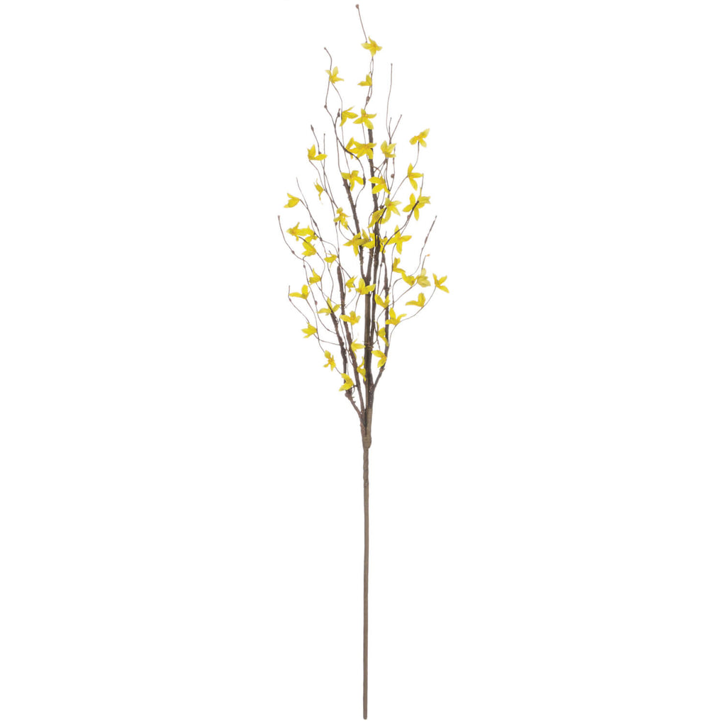 Forsythia Spray               