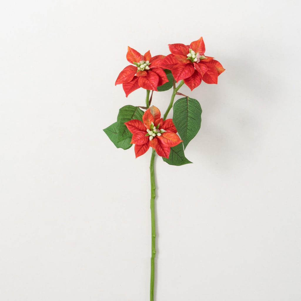 Red Poinsettia Stem           