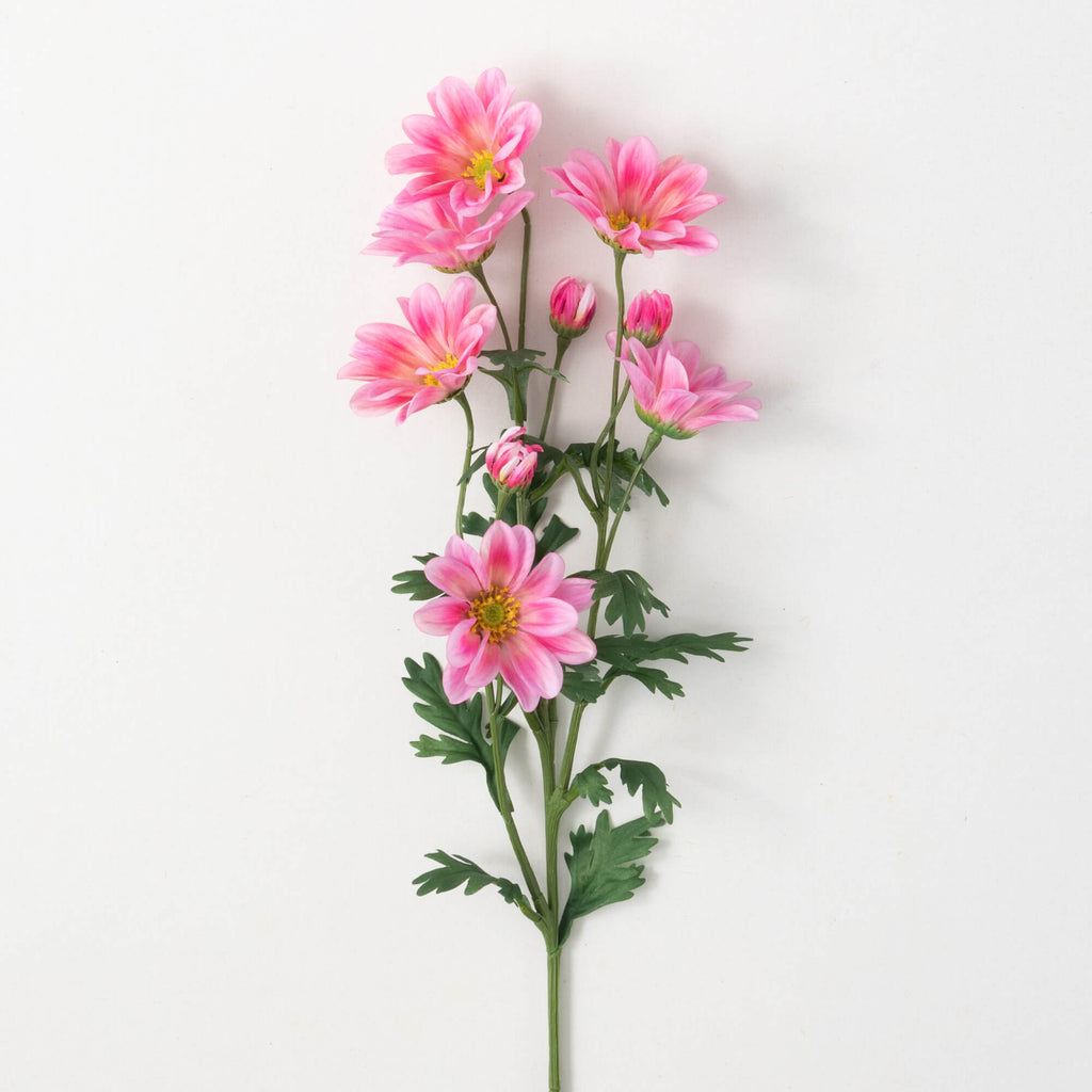 Blush Pink Gazania Stem       