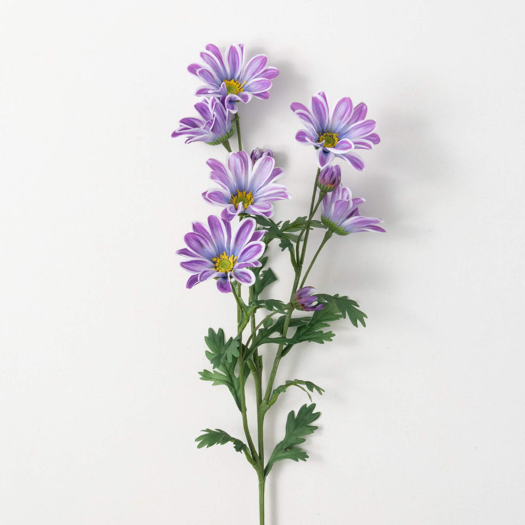 Lavender Lilac Gazania Stem   