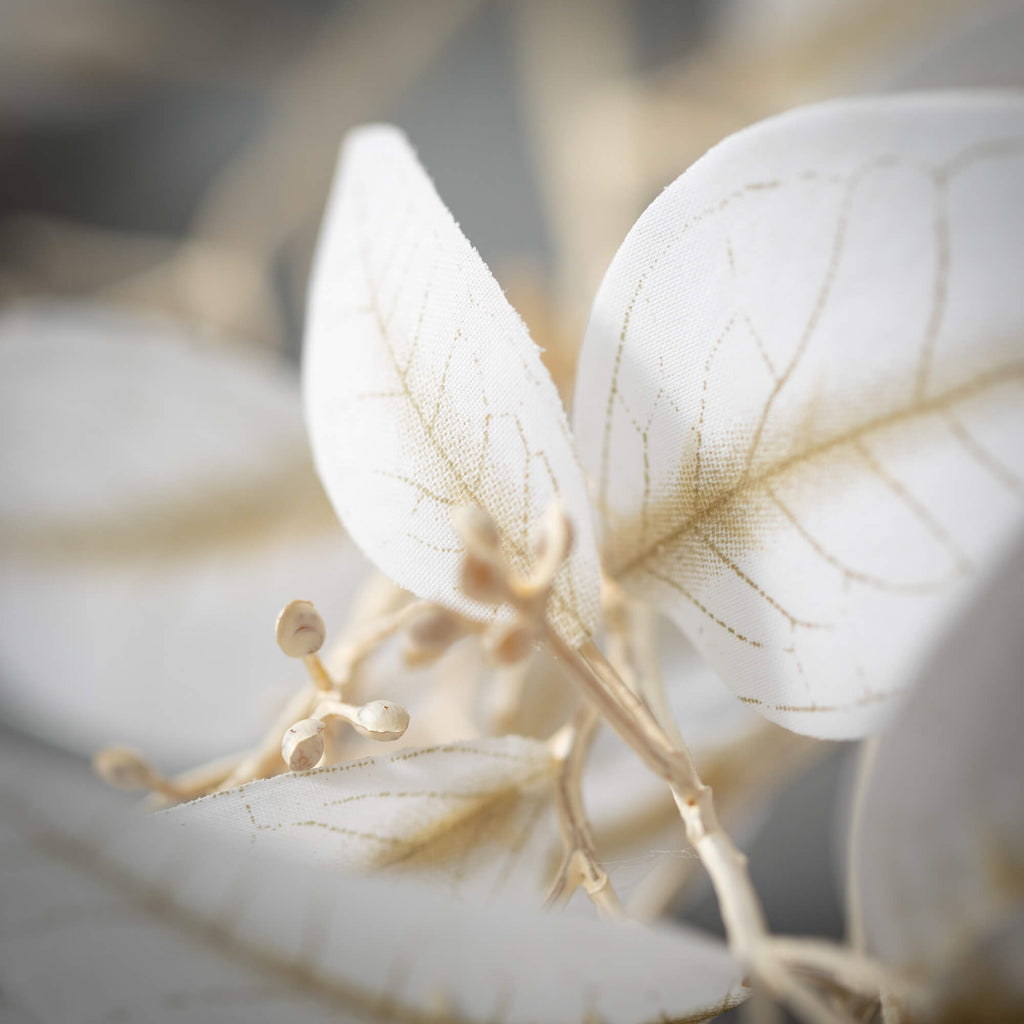 Soft Dusty White Eucalyptus   