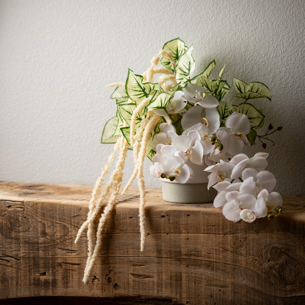 Beige Brown Draping Amaranthus