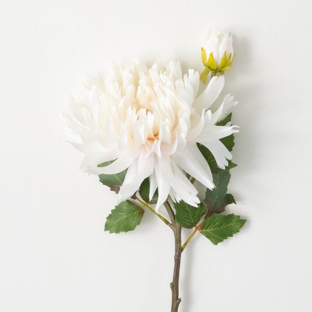 Soft Cream Dahlia Spray       