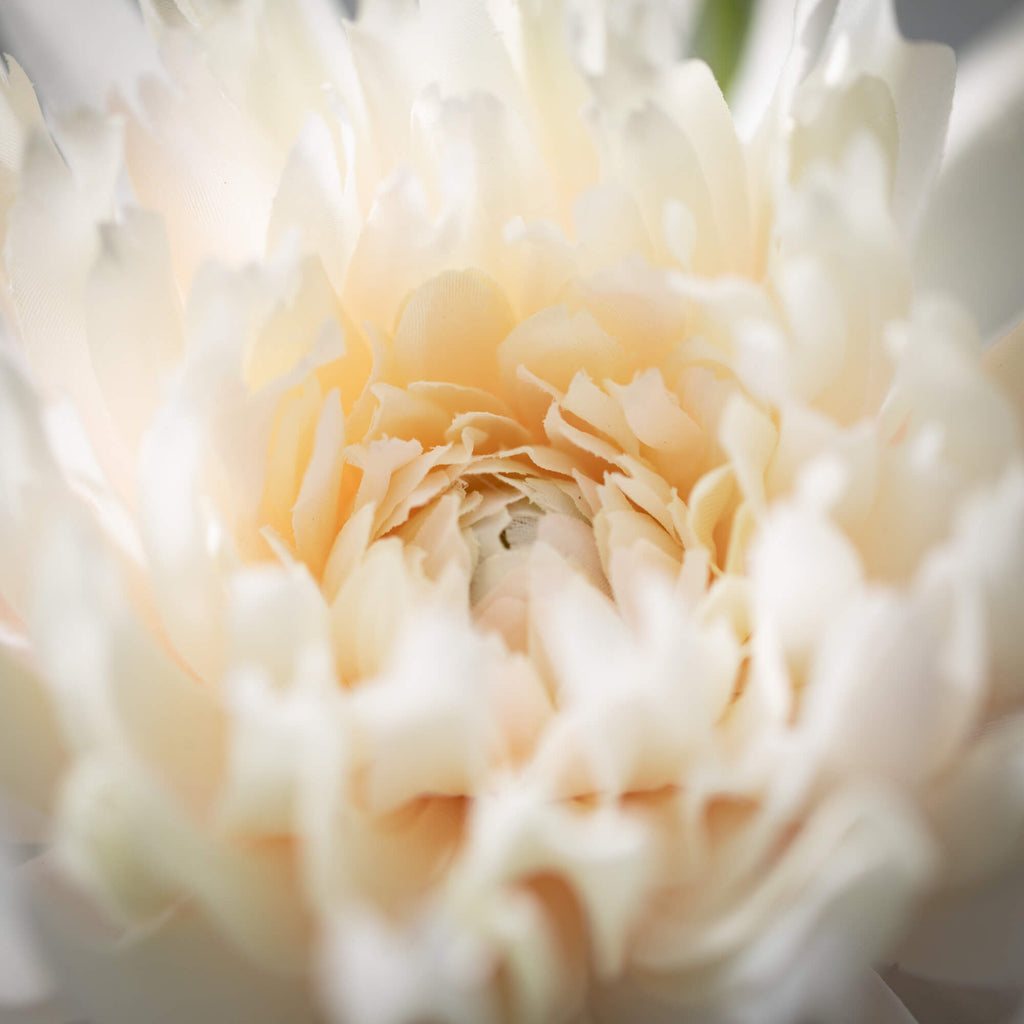 Soft Cream Dahlia Spray       