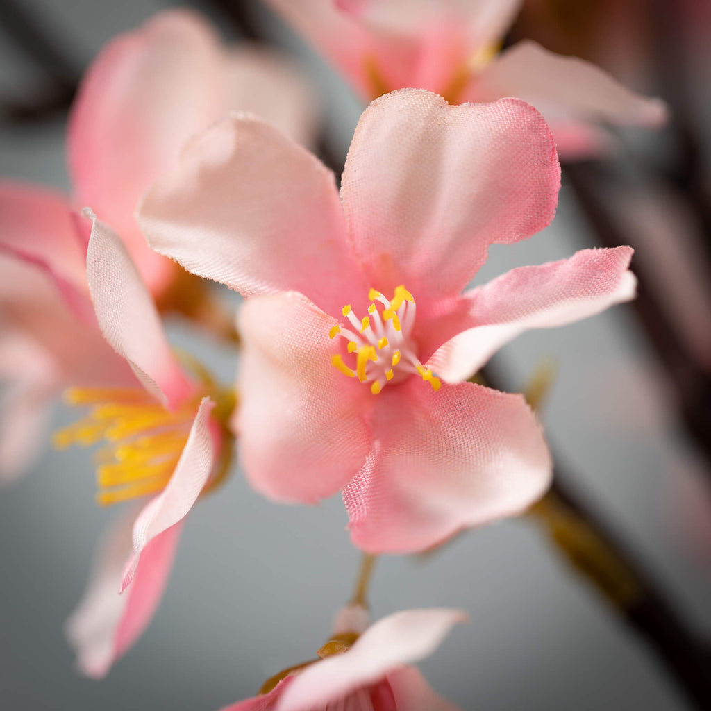 Light Pink Blossom Spray      