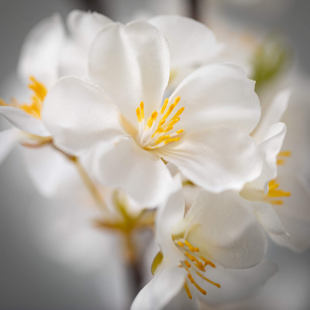 Crisp White Blossom Spray     