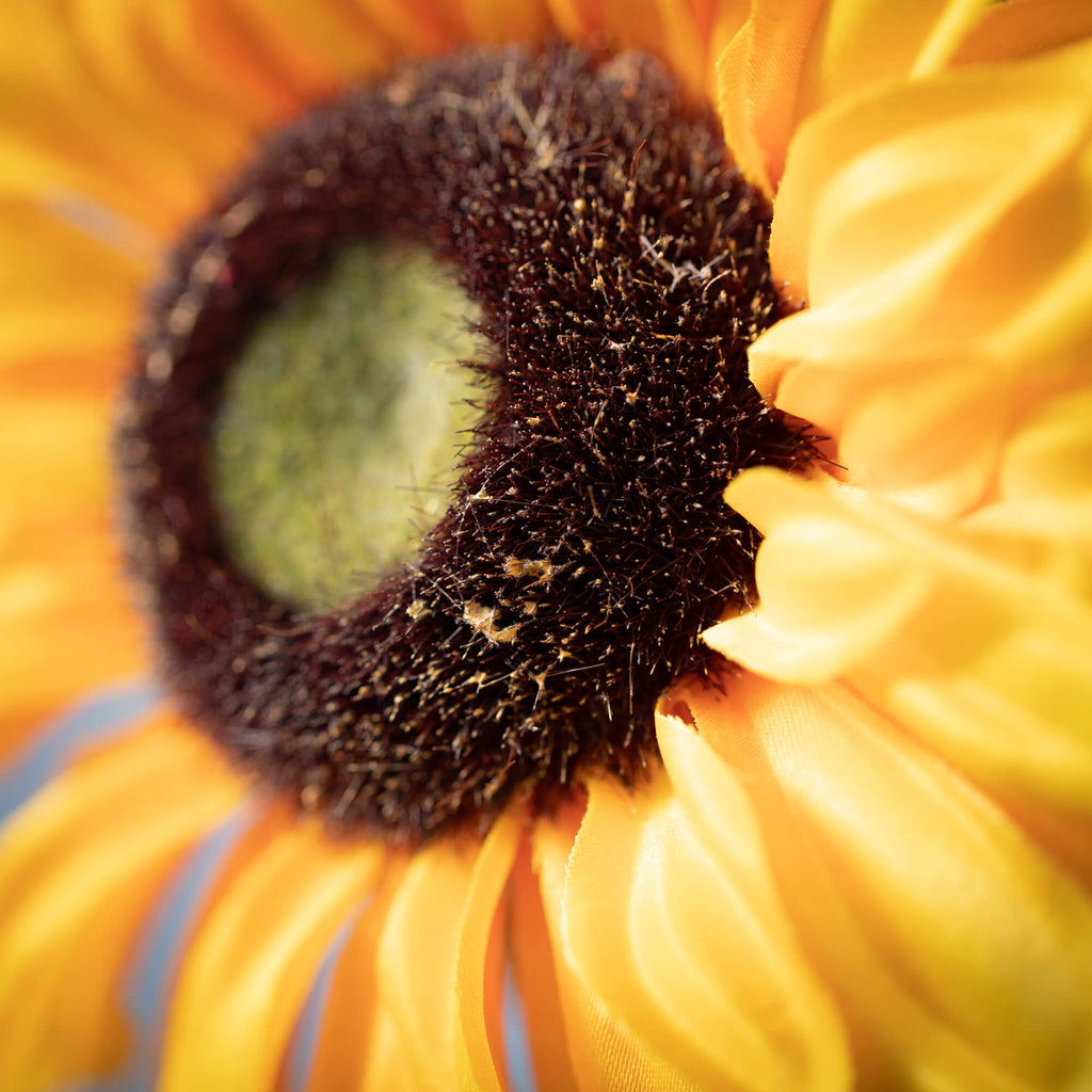 Yellow Triple Sunflower Spray 