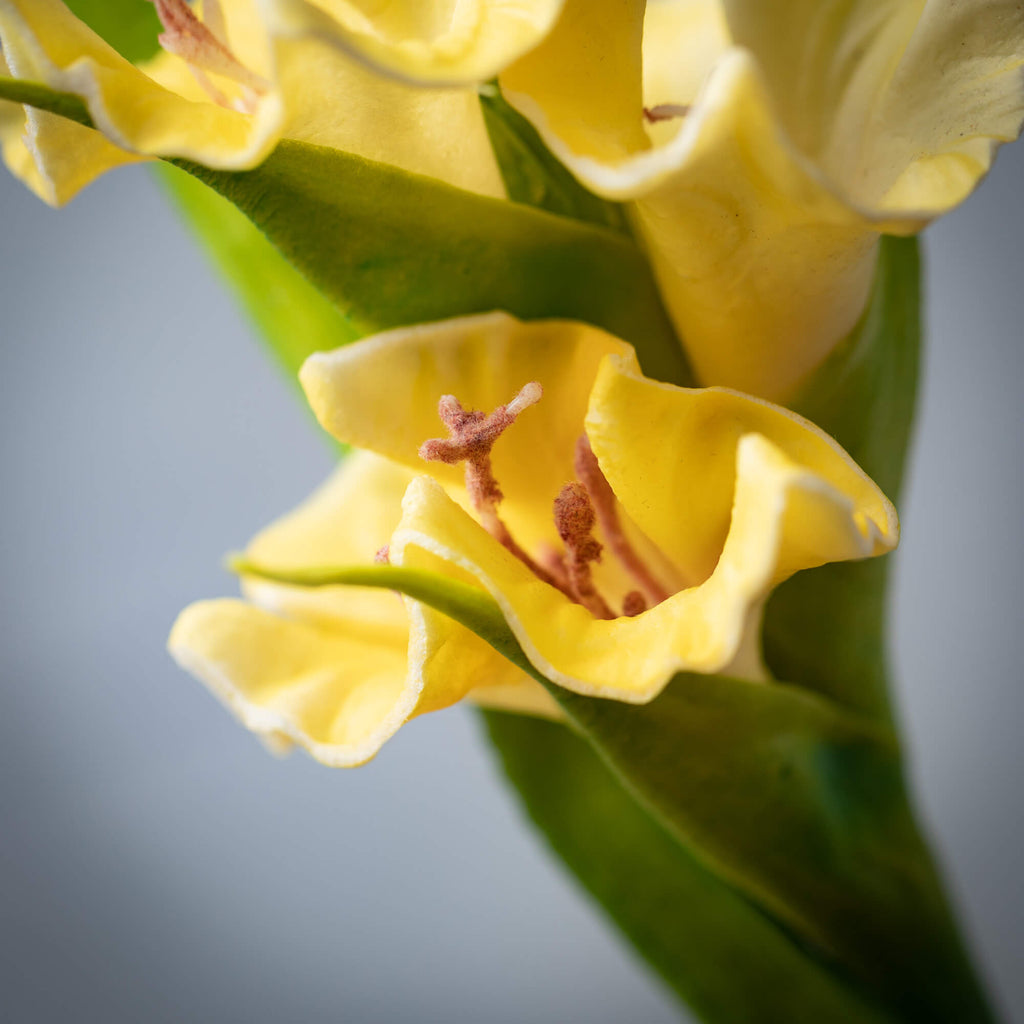 Cheery Bright Yellow Gladiola 