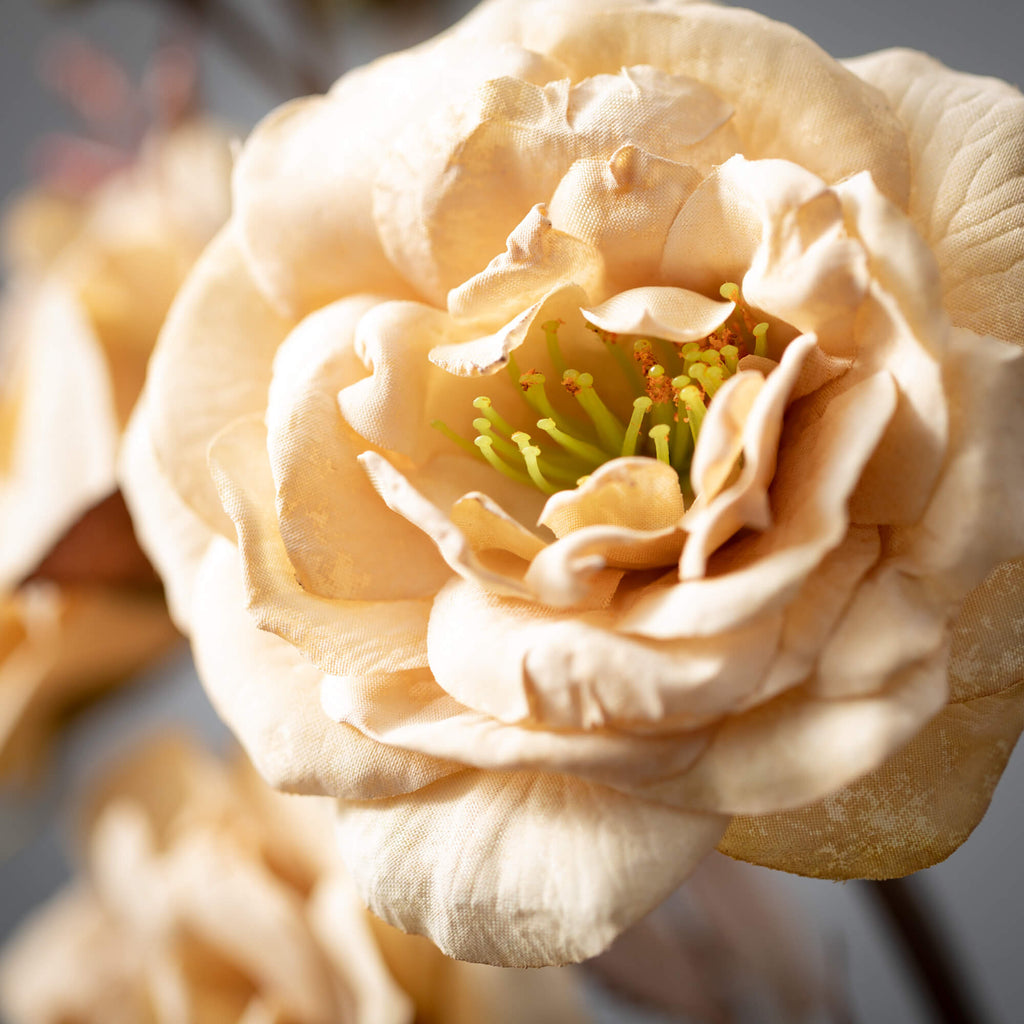 Warm Fall Cream Rose Stem     