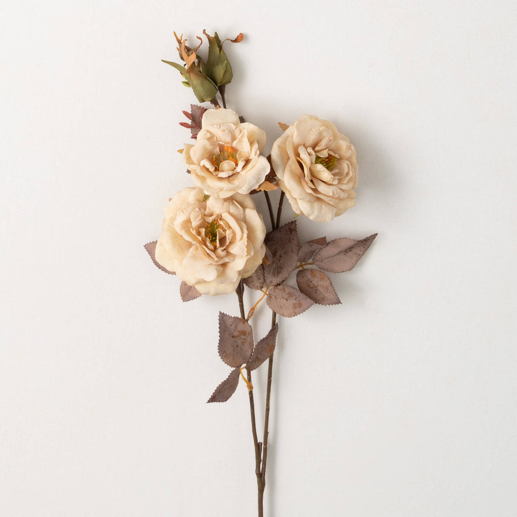 Warm Fall Cream Rose Stem     