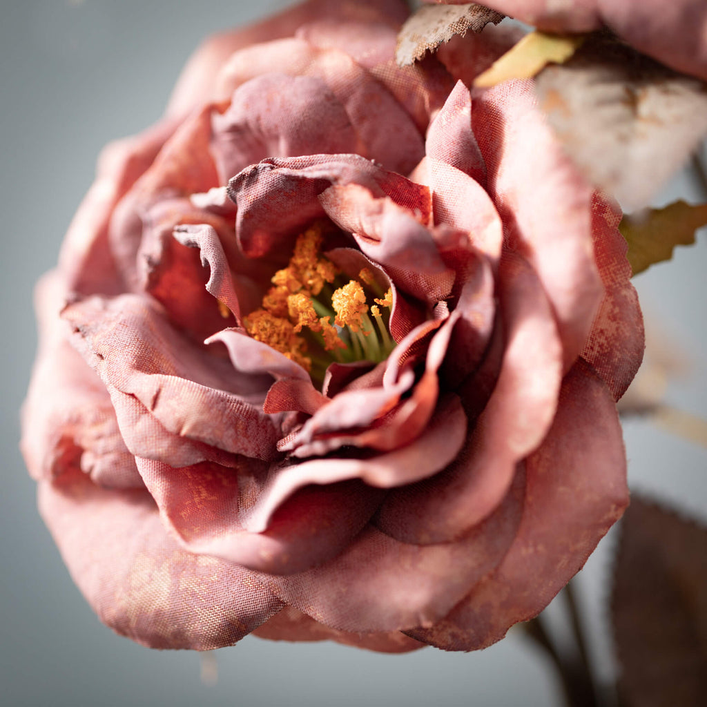 Warm Fall Mauve Rose Stem     