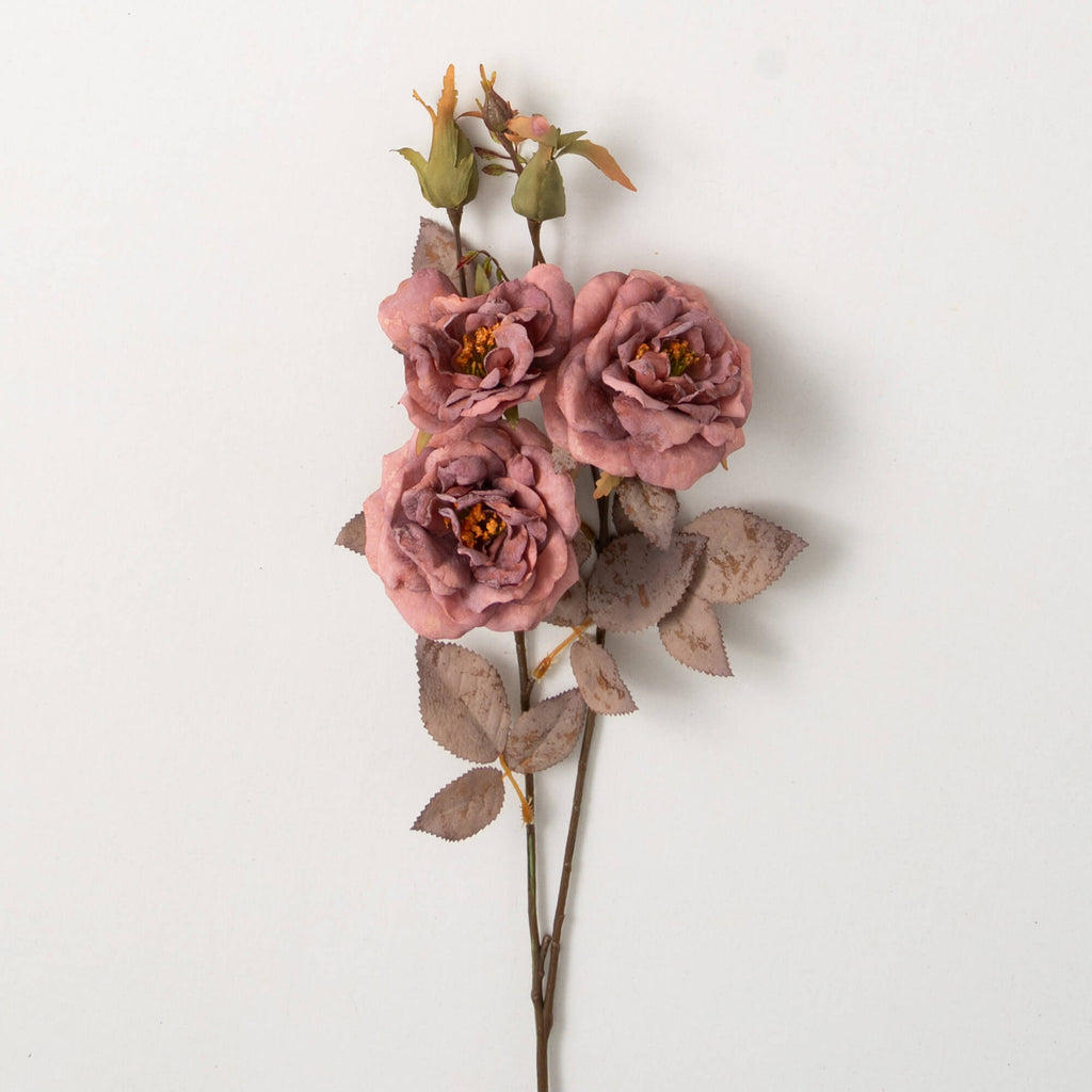 Warm Fall Mauve Rose Stem     