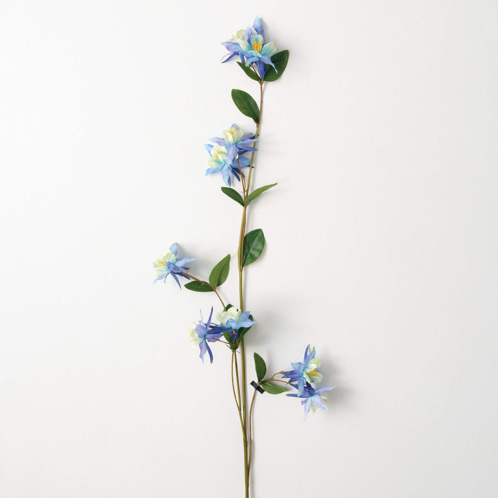 Delicate Blue Columbine Spray 