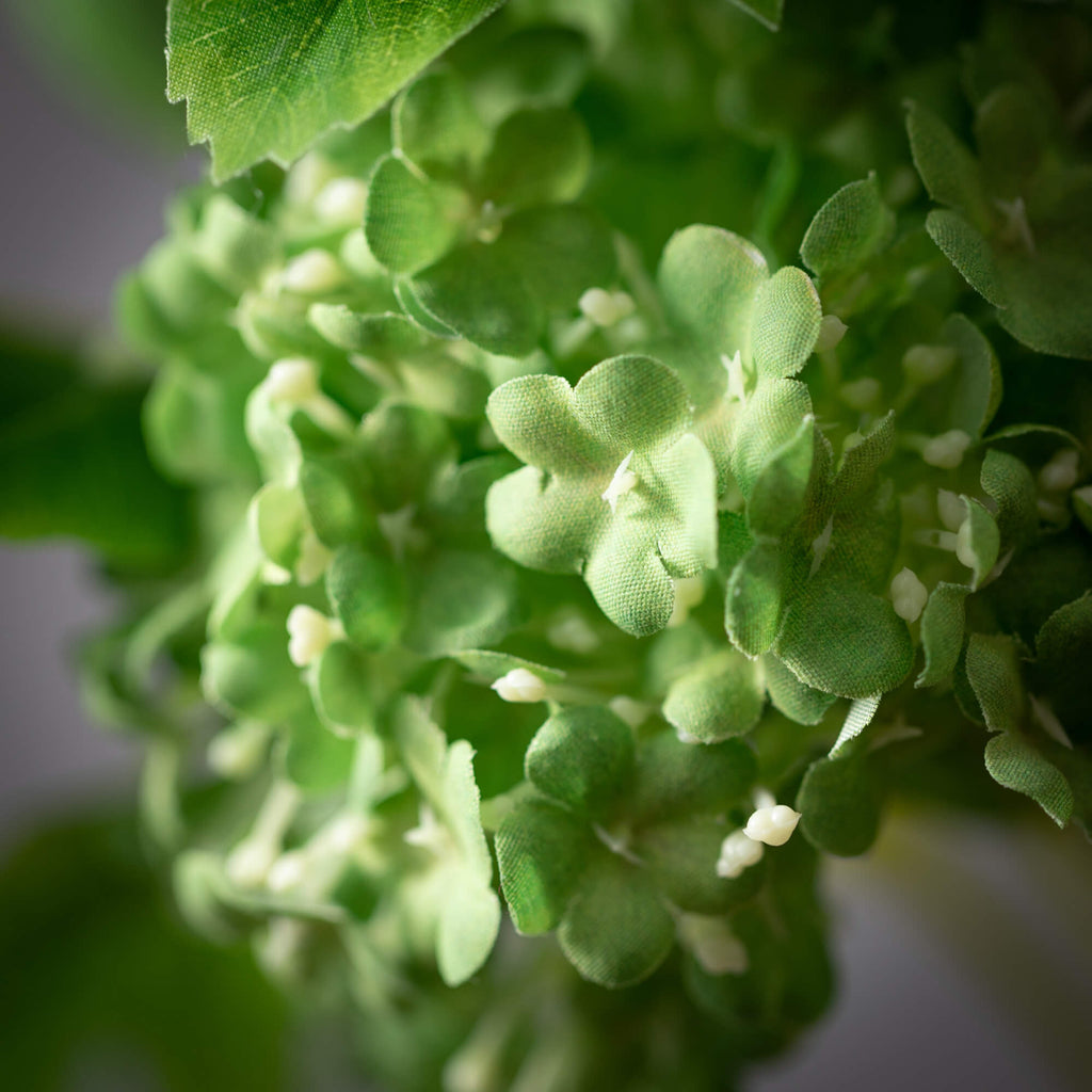 Green Snowball Hydrangea Spray