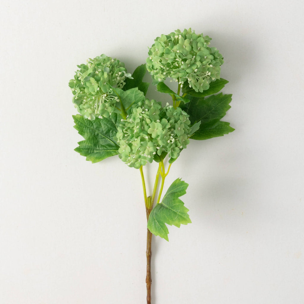 Green Snowball Hydrangea Spray