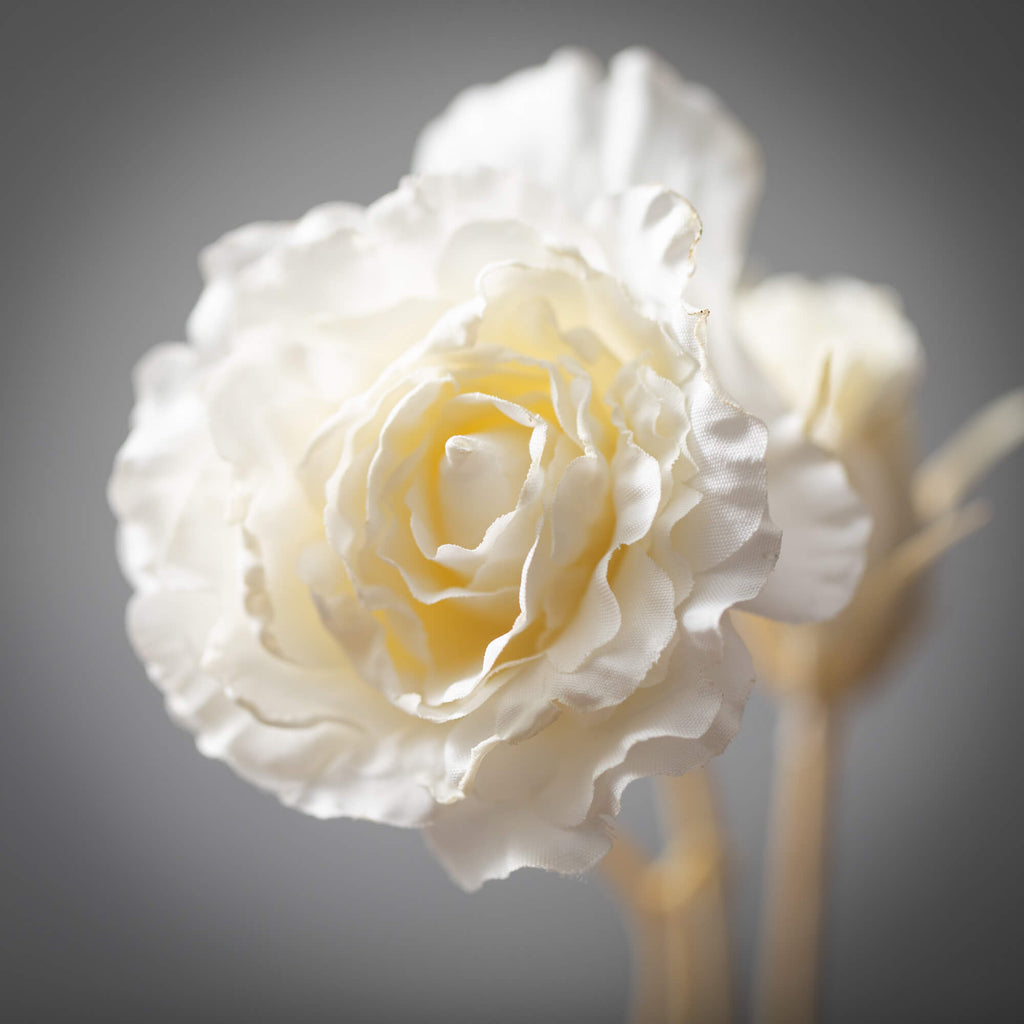 Soft Cream Lisianthus Spray   