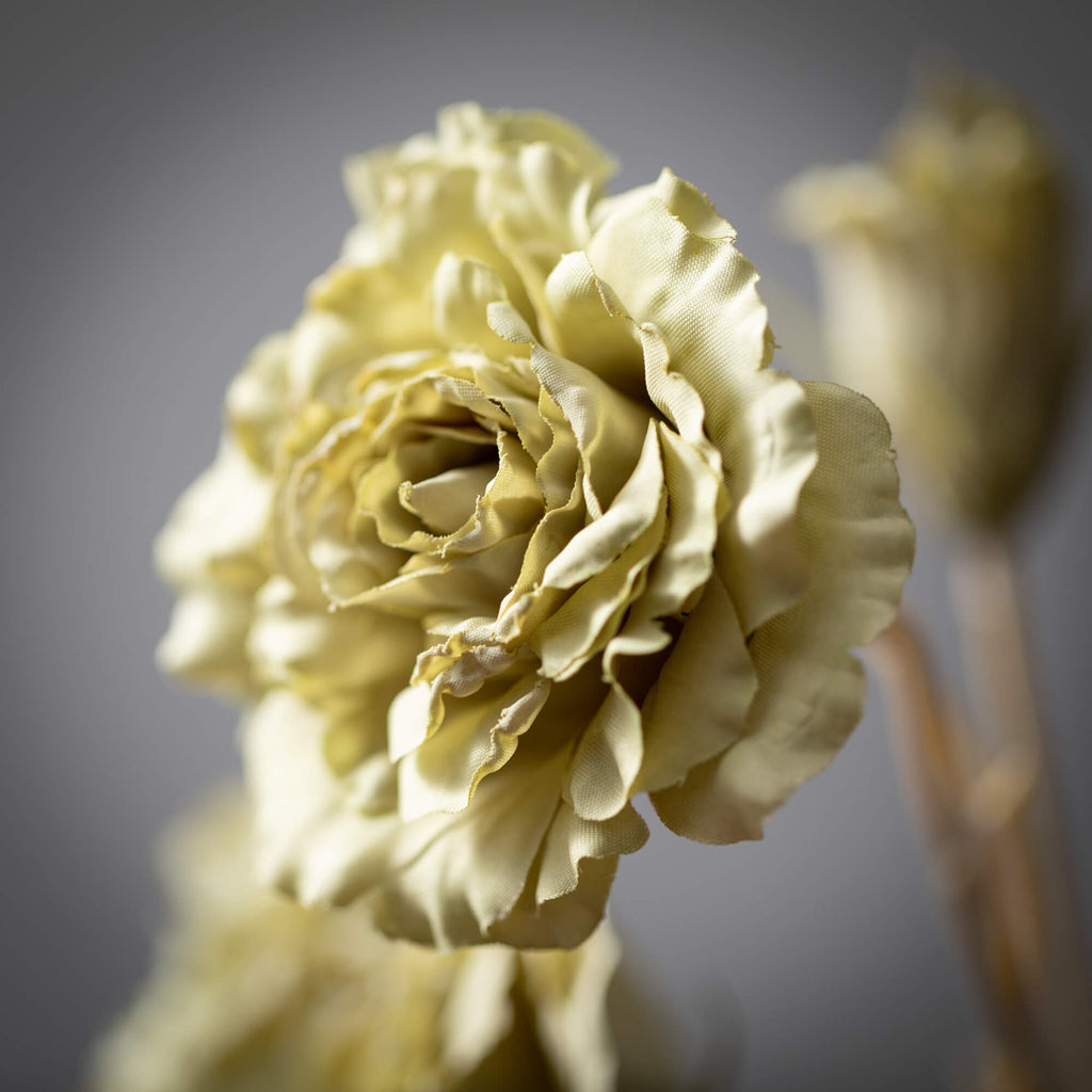 Soft Green  Lisianthus Spray  